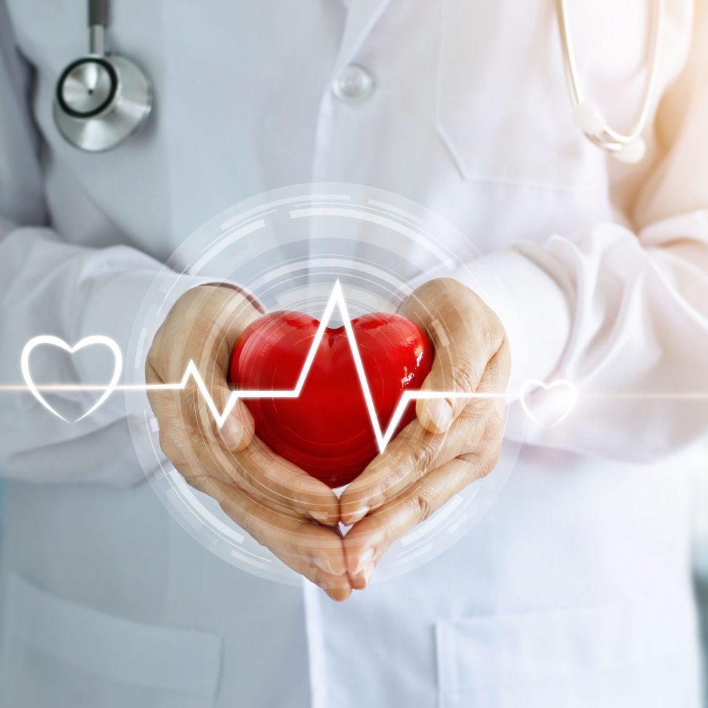 Doctor with stethoscope and red heart shape with icon heartbeat in hands on hospital background Doctor with stethoscope and red heart shape with icon heartbeat in hands on hospital background
